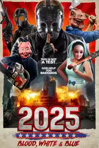 Jaquette du film 2025: Blood, White & Blue