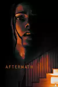 Jaquette du film Aftermath