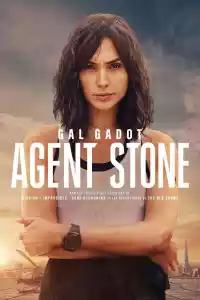 Jaquette du film Agent Stone