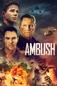 Jaquette du film Ambush