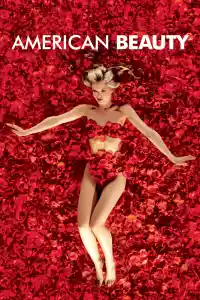 Jaquette du film American Beauty