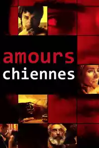 Jaquette du film Amours chiennes