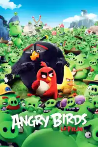 Jaquette du film Angry Birds: Le film