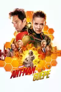 Jaquette du film Ant-Man et la Guêpe