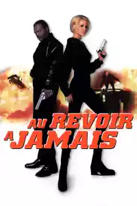 Jaquette du film Au Revoir à Jamais