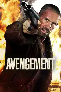 Jaquette du film Avengement