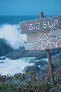 Jaquette du film Big Sur Gay Porn