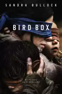 Jaquette du film Bird Box