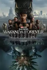 Jaquette du film Black Panther : Wakanda Forever