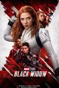 Jaquette du film Black Widow