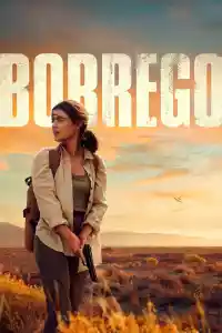 Jaquette du film Borrego