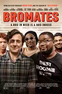 Jaquette du film Bromates