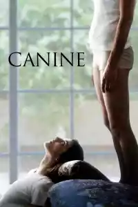 Jaquette du film Canine