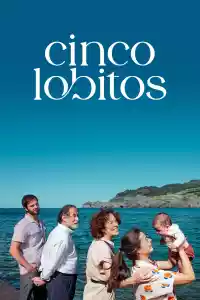 Jaquette du film Cinco lobitos