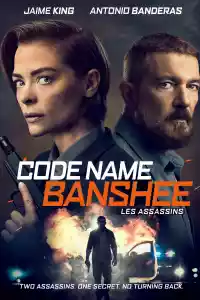 Jaquette du film Code Name Banshee