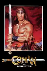 Jaquette du film Conan le destructeur