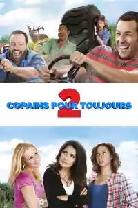 Jaquette du film Copains pour toujours 2