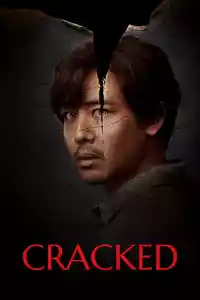 Jaquette du film Cracked