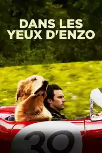 Jaquette du film Dans les yeux d'Enzo