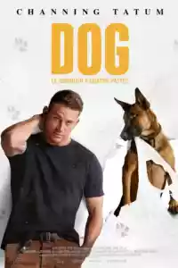 Jaquette du film Dog