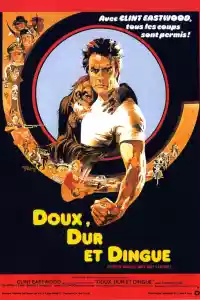 Jaquette du film Doux, dur et dingue