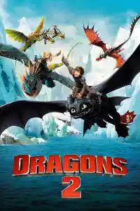 Jaquette du film Dragons 2