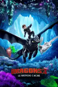 Jaquette du film Dragons 3 : Le monde caché