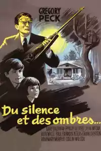 Jaquette du film Du silence et des ombres