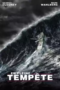 Jaquette du film En pleine tempête