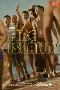 Jaquette du film Fire Island