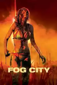 Jaquette du film Fog City