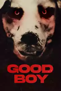 Jaquette du film Good Boy