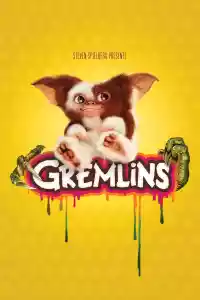 Jaquette du film Gremlins