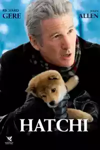 Jaquette du film Hatchi