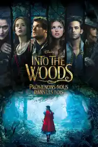 Jaquette du film Into the Woods : Promenons-nous dans les bois