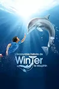 Jaquette du film L'Incroyable Histoire de Winter le dauphin