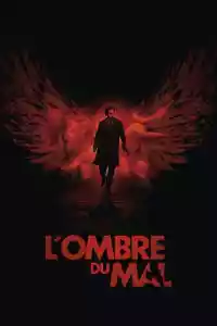 Jaquette du film L'ombre du mal