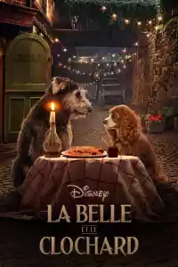 Jaquette du film La Belle et le Clochard