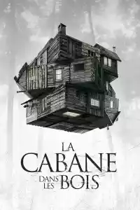 Jaquette du film La Cabane dans les bois