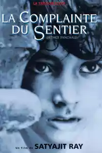 Jaquette du film La Complainte du sentier