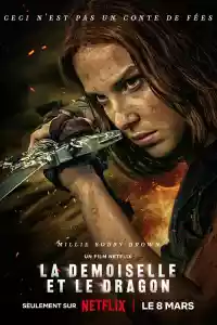 Jaquette du film La Demoiselle et le dragon