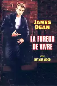 Jaquette du film La Fureur de vivre