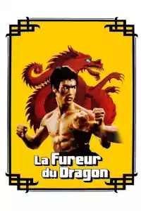 Jaquette du film La Fureur du dragon