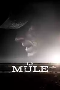 Jaquette du film La Mule