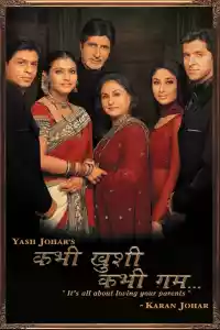 Jaquette du film La famille indienne