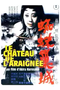 Jaquette du film Le Château de l'araignée