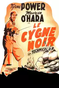 Jaquette du film Le Cygne Noir