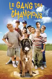 Jaquette du film Le Gang des Champions