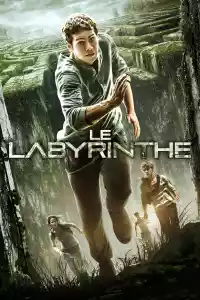 Jaquette du film Le Labyrinthe