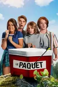 Jaquette du film Le paquet